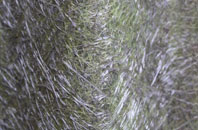 Brynglas Sta fibreglass roof work